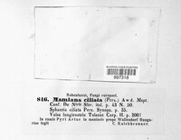 Image Associated With the Occurence